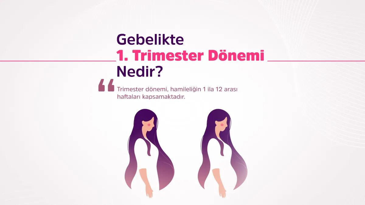 1. Trimester dönemi, hamileliğin 1 ila 12 arası haftaları kapsamaktadır.