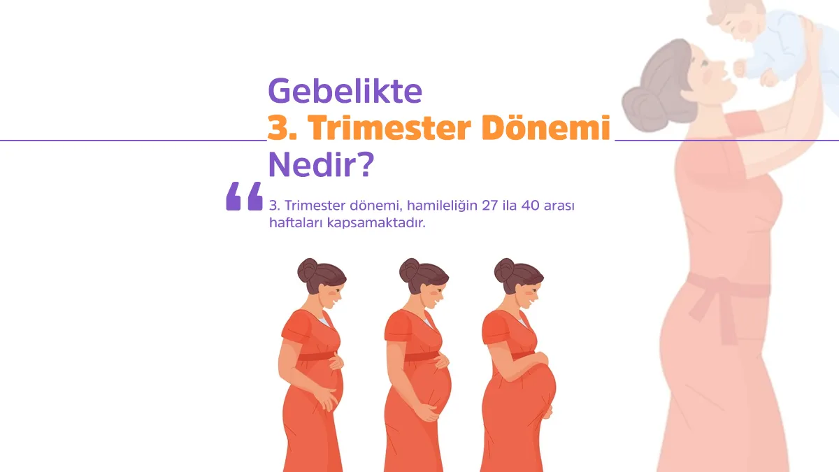 3. Trimester dönemi, hamileliğin 27 ila 40 arası haftaları kapsamaktadır.