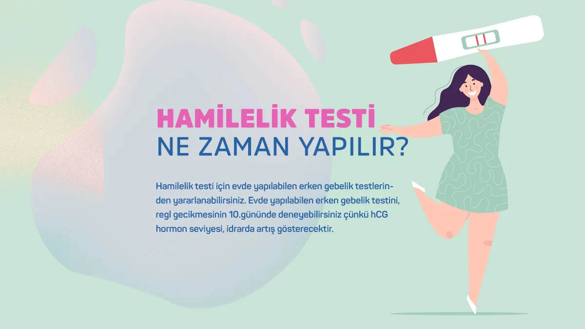 3 günlük, 7 günlük ve 15 günlük hamilelik belirtileri nelerdir