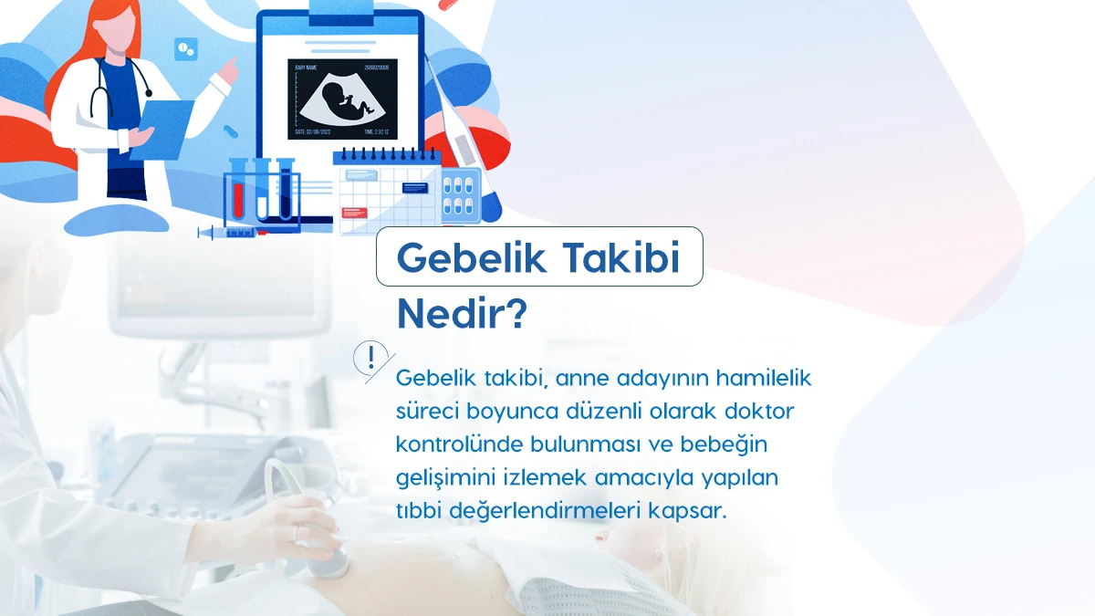 İlk Trimester (1-12. Haftalar)