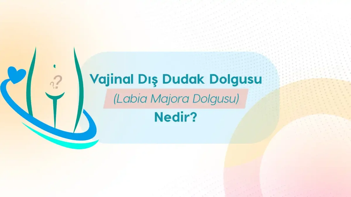 labia majora dolgusu nedir